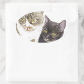 Sticker Ovale Deux chats - tabby et tortie (Sac)