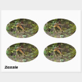 Sticker Ovale Dinosaure Spinosaurus (Feuille)