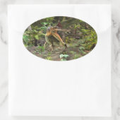 Sticker Ovale Dinosaure Spinosaurus (Sac)