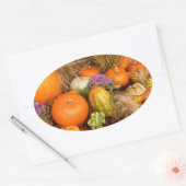 Sticker Ovale Divers citrouilles (Enveloppe)