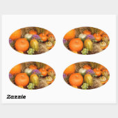Sticker Ovale Divers citrouilles (Feuille)