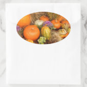 Sticker Ovale Divers citrouilles (Sac)