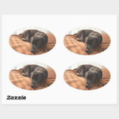 Sticker Ovale doberman-pinscher-chiot (Feuille)