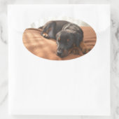 Sticker Ovale doberman-pinscher-chiot (Sac)