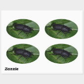 Sticker Ovale Dorcus parallelipipedus, le moindre dendroctone du (Feuille)