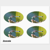 Sticker Ovale Dragonfly aux yeux turquoises (Feuille)