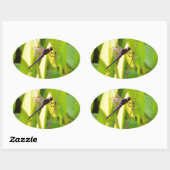 Sticker Ovale Dragonfly Blue et noir sur l'herbe. (Feuille)
