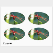 Sticker Ovale Dragonfly frontale rouge et noire (Feuille)