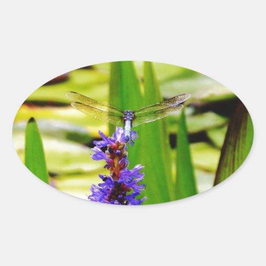 Sticker Ovale Dragonfly lotus and purple flower (Devant)