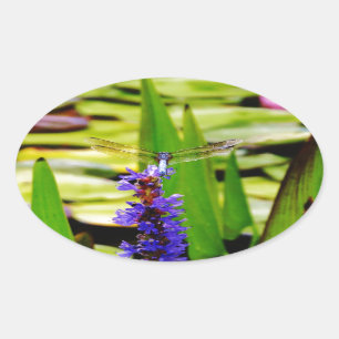 Sticker Ovale Dragonfly lotus and purple flower