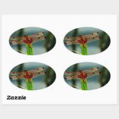 Sticker Ovale Dragonfly rouge et noire tachetée (Feuille)