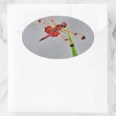 STICKER OVALE DSC00029.JPG (Sac)