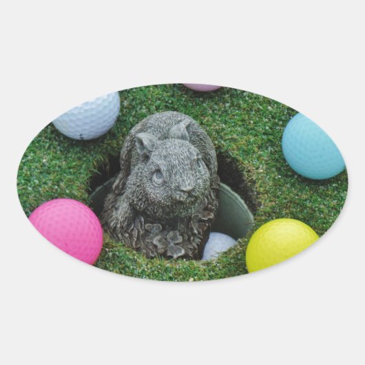 STICKER OVALE DSCF0698.JPG (Devant)