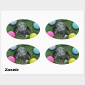 STICKER OVALE DSCF0698.JPG (Feuille)