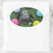 STICKER OVALE DSCF0698.JPG (Sac)