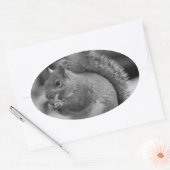 Sticker Ovale Écureuil (Enveloppe)