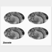 Sticker Ovale Écureuil (Feuille)