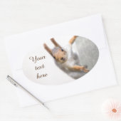 Sticker Ovale Écureuil curieux (Enveloppe)