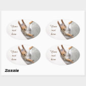 Sticker Ovale Écureuil curieux (Feuille)