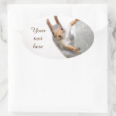 Sticker Ovale Écureuil curieux (Sac)