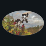Sticker Ovale Elegant Holly Christmas,<br><div class="desc">Elégant Noël Holly,  ciel bleu Photo de Sandy Closs Noël Saint Noël,  baies,  "baies saintes""baies sèches""élégantes fêtes de Noël""fleurs de Noël""fleurs de Noël""fleurs de Noël"bleu vert blanc</div>