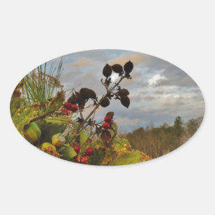 Sticker Ovale Elegant Holly Christmas,