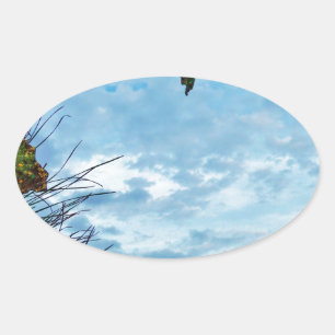 Sticker Ovale Élégant Noël Holly, ciel bleu