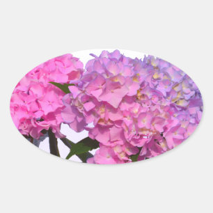 Sticker Ovale Elégante florales violettes roses hydrangées