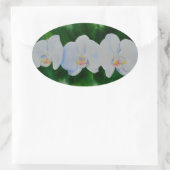 Sticker Ovale Elégante peinture d'orchidée tropicale blanche (Sac)