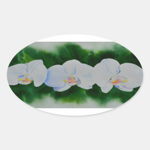 Sticker Ovale Elégante peinture d'orchidée tropicale blanche