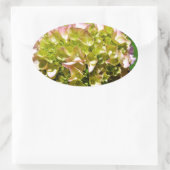 Sticker Ovale Elégantes hydrangées florales vertes et douces (Sac)