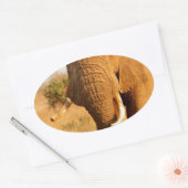 Sticker Ovale Éléphants (Enveloppe)