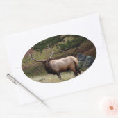 Sticker Ovale Elk dans le désert (Enveloppe)