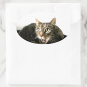 Sticker Ovale Elvis (Sac)