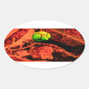 Sticker Ovale explorateur de moustiques
