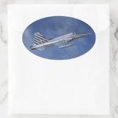 Sticker Ovale F-5 Freedom Fighter (Sac)