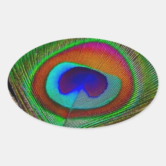 Sticker Ovale Feather Vibrant Copper (Devant)