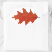 Sticker Ovale feuille d'automne de chêne rouge (Sac)