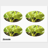 Sticker Ovale Feuilles de figues (Feuille)