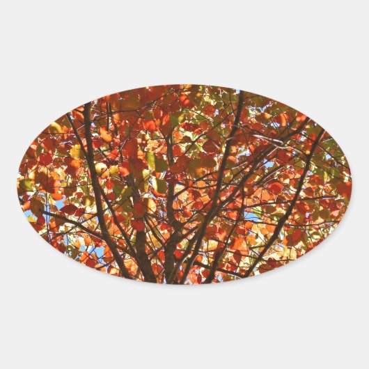 Sticker Ovale Feux d'artifice de feuilles d'automne (Devant)