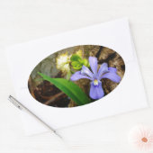 Sticker Ovale Fleur blanche pourpre bleu Iris (Enveloppe)