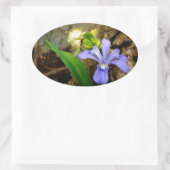 Sticker Ovale Fleur blanche pourpre bleu Iris (Sac)