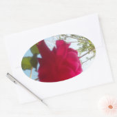 Sticker Ovale Fleur céleste : Un Rose contre le ciel (Enveloppe)