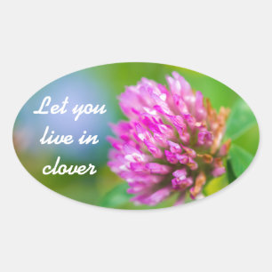 Sticker Ovale Fleur de trèfle rose