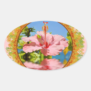 Sticker Ovale Fleur d'hibiscus rose au-dessus de l'eau dans le c