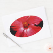 Sticker Ovale Fleur d'Hibiscus rouge rose chaud sur noir (Enveloppe)