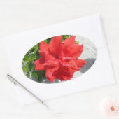 Sticker Ovale Fleur double hibiscus rouge (Enveloppe)