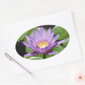 Sticker Ovale Fleur Hawaii Lotus (Enveloppe)