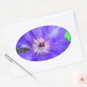 Sticker Ovale Fleur violette Clematis (Enveloppe)