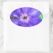 Sticker Ovale Fleur violette Clematis (Sac)